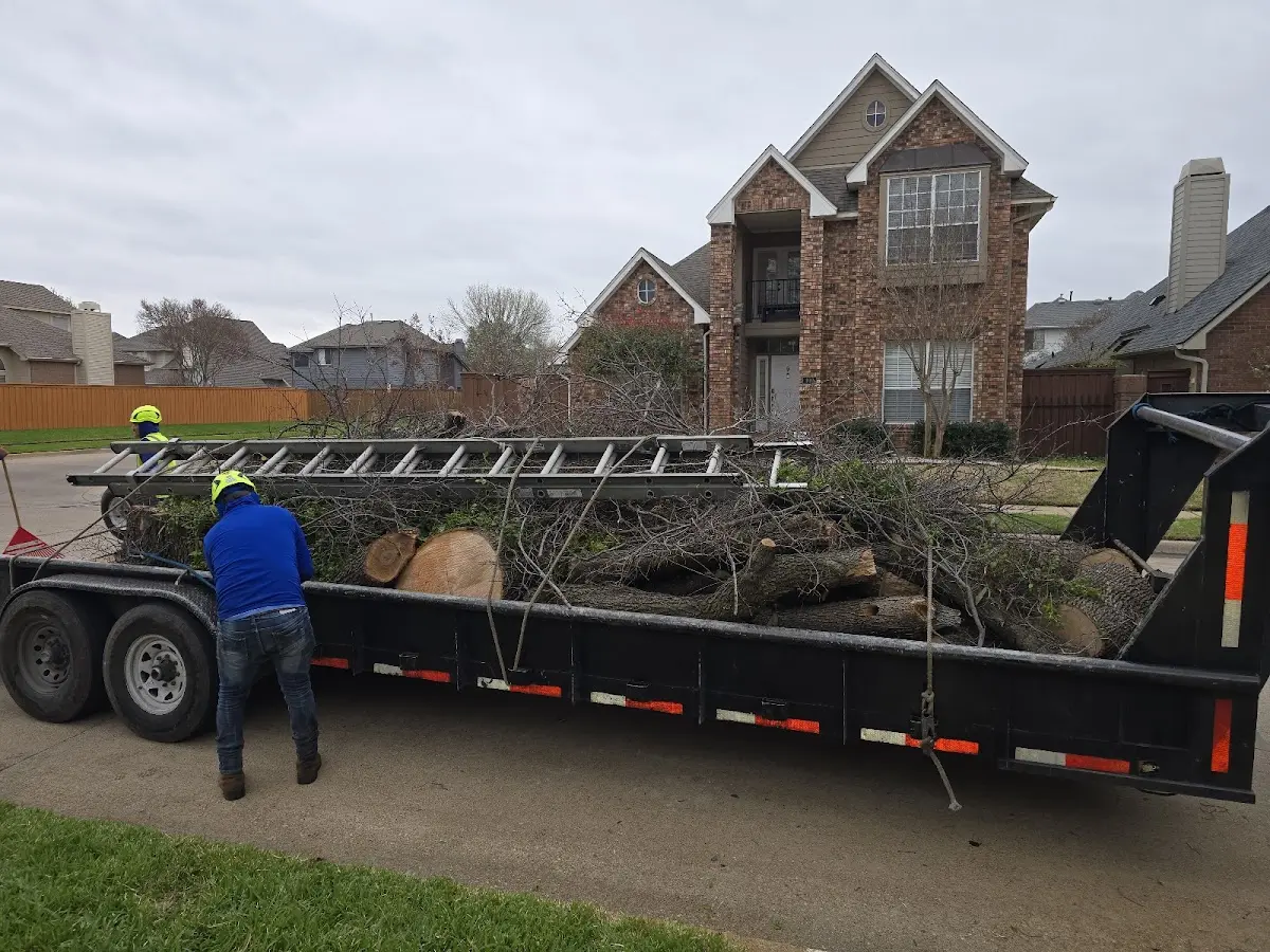Expert Tree Removal with proper safety equipment in Fort Gibson